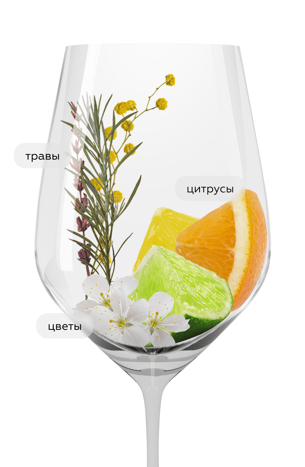 Вино Petit Chablis, Domaine des Chenevieres, 2024, (156729), Франция, Бургундия, белое, сухое, 0.75 л, Пти Шабли, цена 5990 рублей