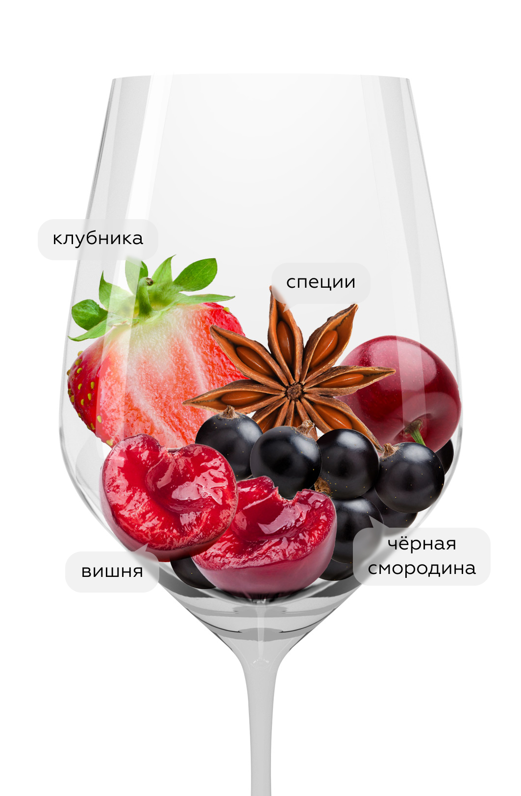 Вино Merlot Reserve, Усадьба Маркотх, 2022, (149416), Россия, Кубань, красное, сухое, 0.75 л, Мерло Резерв, цена 3990 рублей