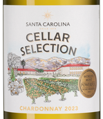 Чилийское белое вино Cellar Selection Chardonnay