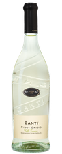 Вино Pinot Grigio, (126648), белое полусухое, 2020 г., 0.75 л, Пино Гриджо цена 1490 рублей