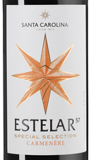 Вино Estelar Carmenere, (139009), красное сухое, 2020 г., 0.75 л, Эстелар Карменер цена 1190 рублей