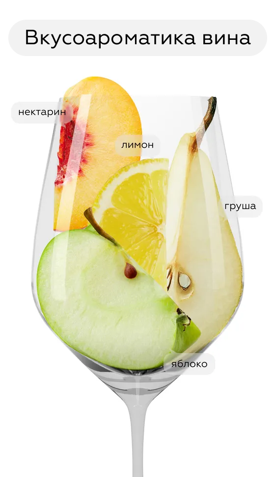 Игристое вино Tener Sauvignon Chardonnay, Banfi, 2021, (140401), Италия, Пьемонт, белое, брют, 0.75 л, Тенер Совиньон Шардоне, цена 3490 рублей