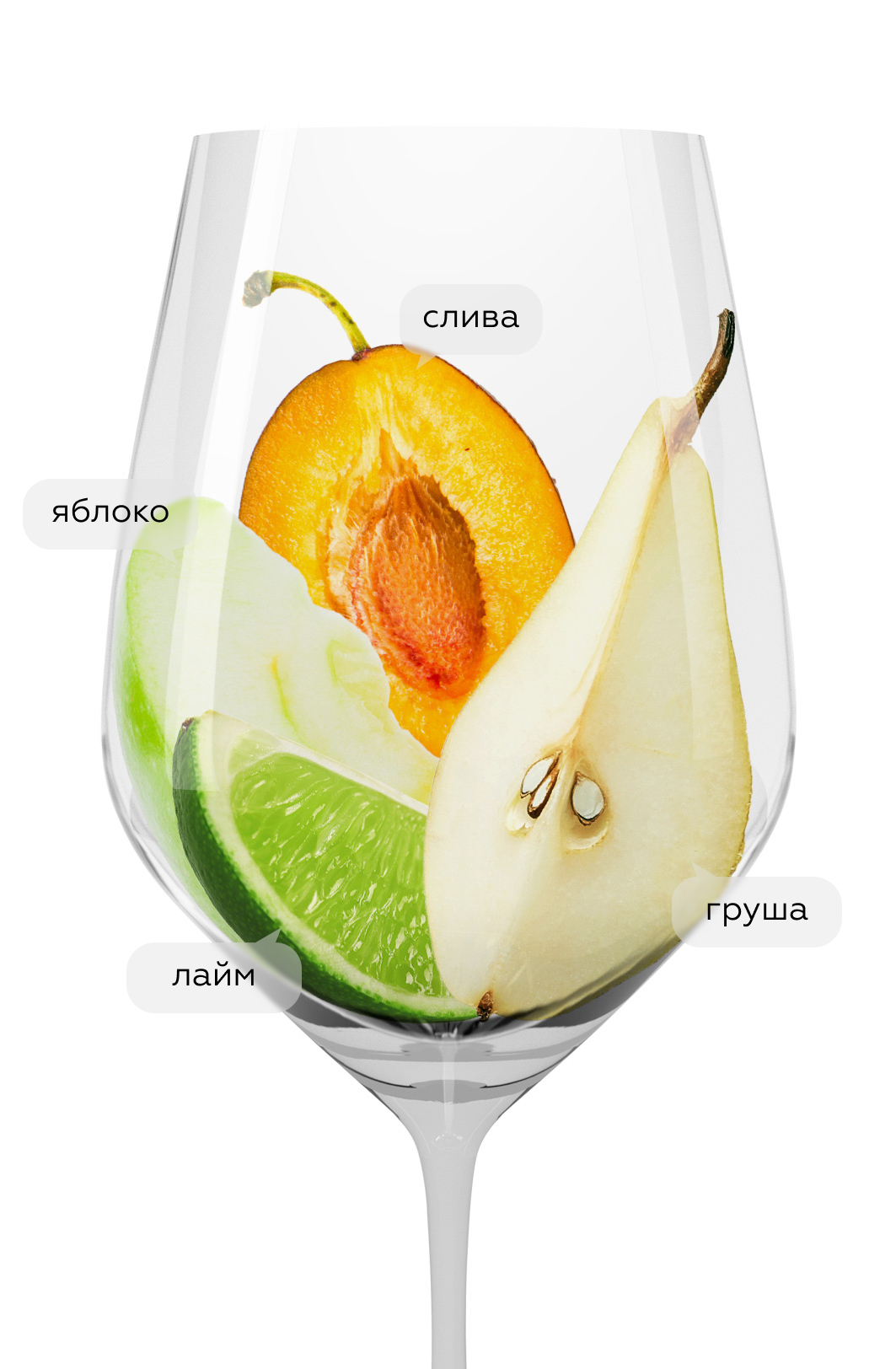 Вино Pinot Gris Reserve, Trimbach, 2018, (143933), Франция, Эльзас, белое, полусухое, 0.75 л, Пино Гри Резерв, цена 7490 рублей