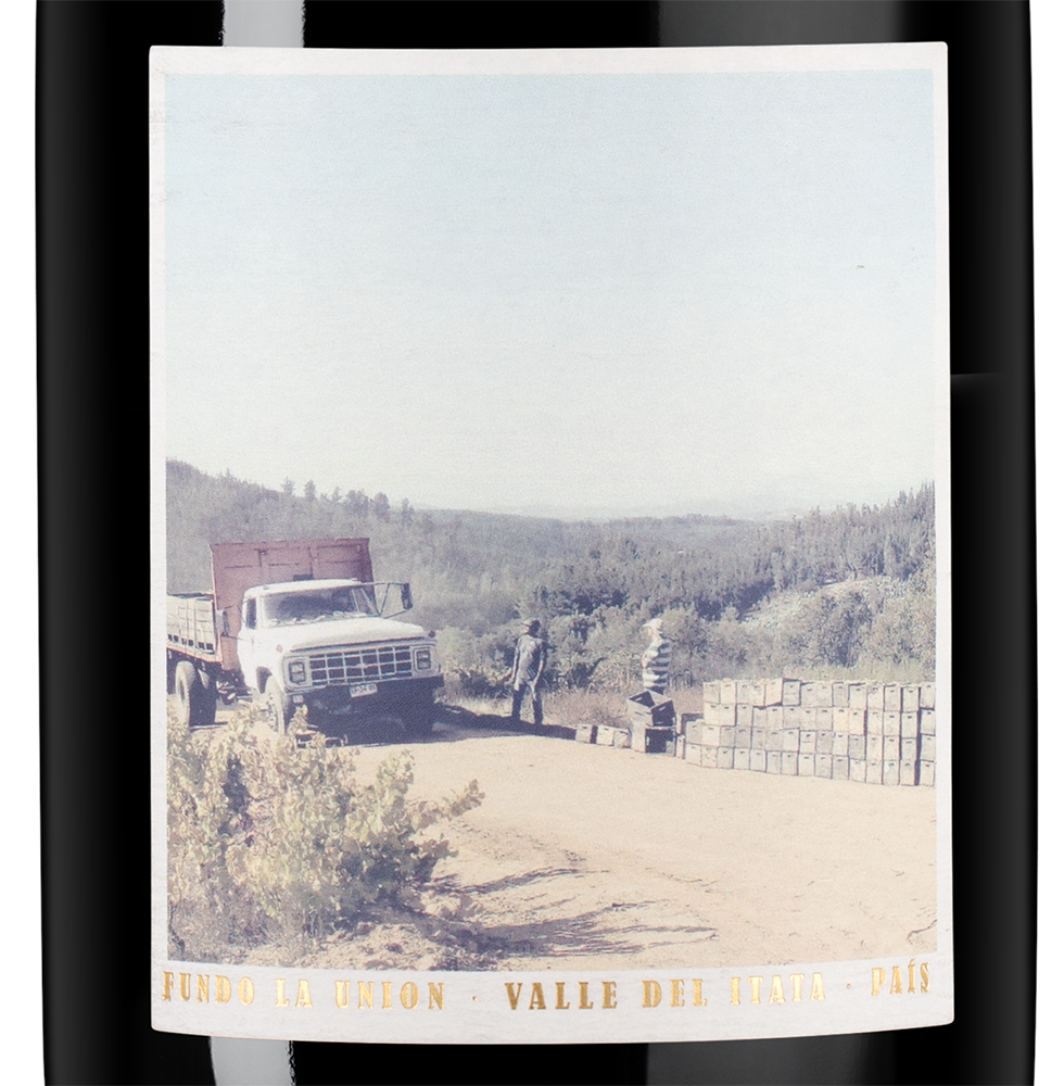 Вино Fundo la Union, Roberto Henriquez, 2020, (127275), Чили, Южный регион, красное, сухое, 0.75 л, Фундо ла Уньон, цена 8490 рублей