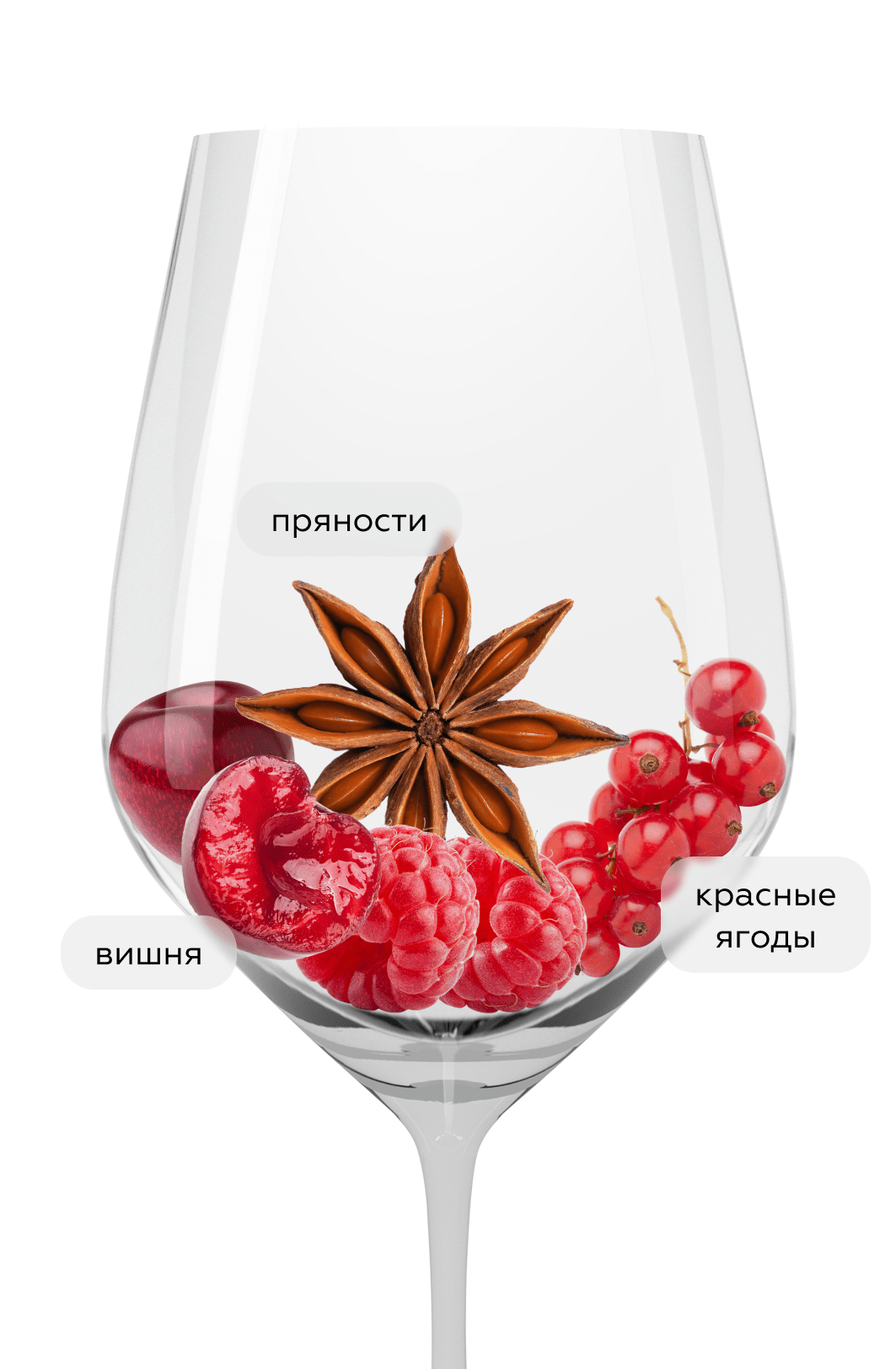 Вино безалкогольное Hans Baer Pinot Noir, Low Alcohol, 0,5%, Weinkellerei Hechtsheim, (152352), Германия, Рейнгессен, 0.75 л, Ханс Баер Пино Нуар Розе Безалкогольное, цена 1440 рублей