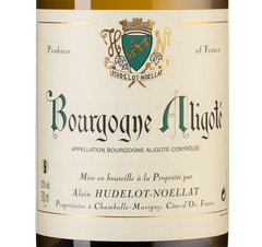 Вино Bourgogne Aligote, (129691), белое сухое, 2019 г., 0.75 л, Бургонь Алиготе цена 5290 рублей