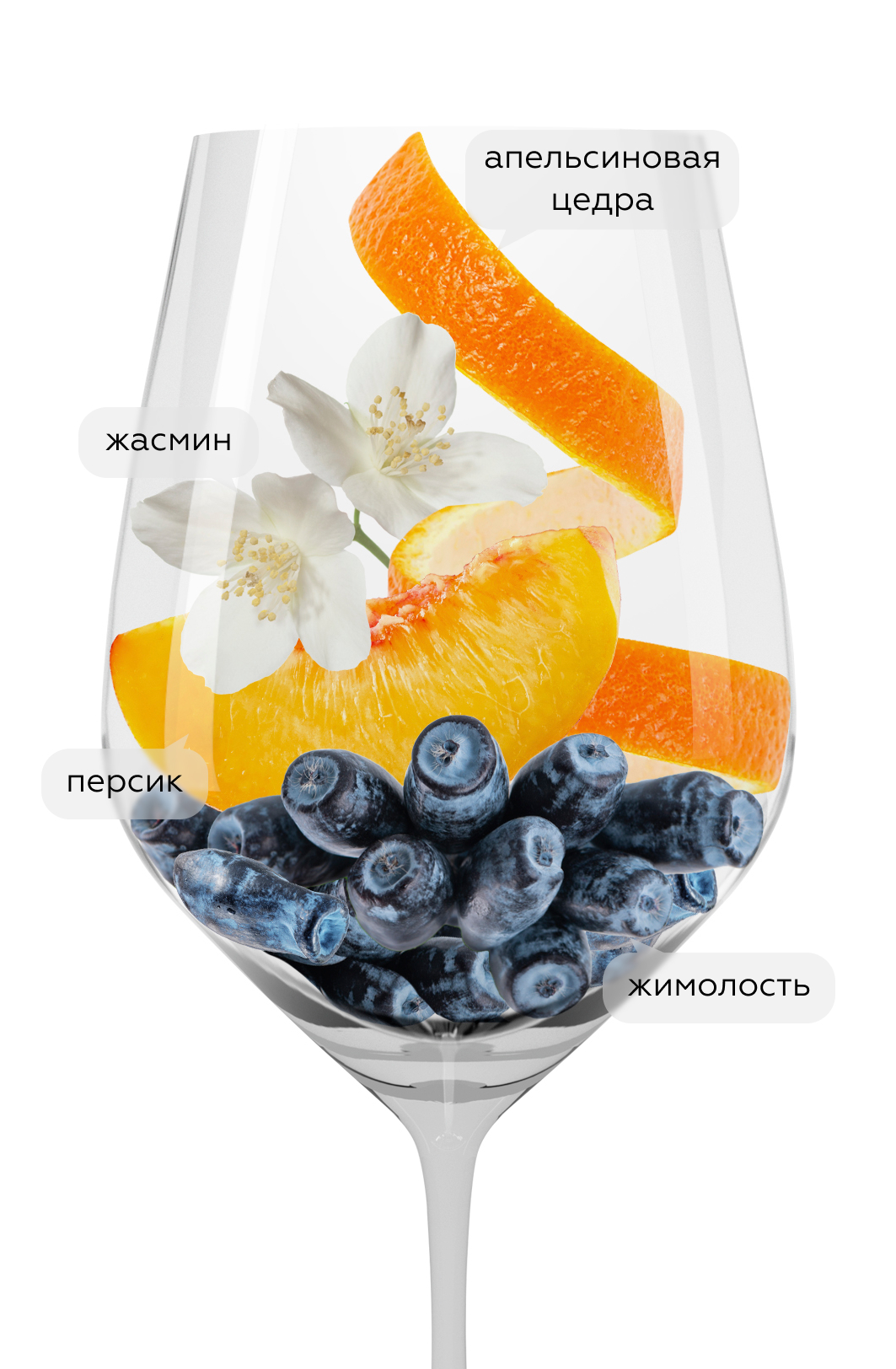 Вино Viognier Iles Blanches, Cellier des Chartreux, 2022, (142303), Франция, Долина Роны, белое, сухое, 0.75 л, Вионье Иль Бланш, цена 3490 рублей