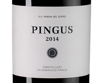 Вино к выдержанным сырам Pingus