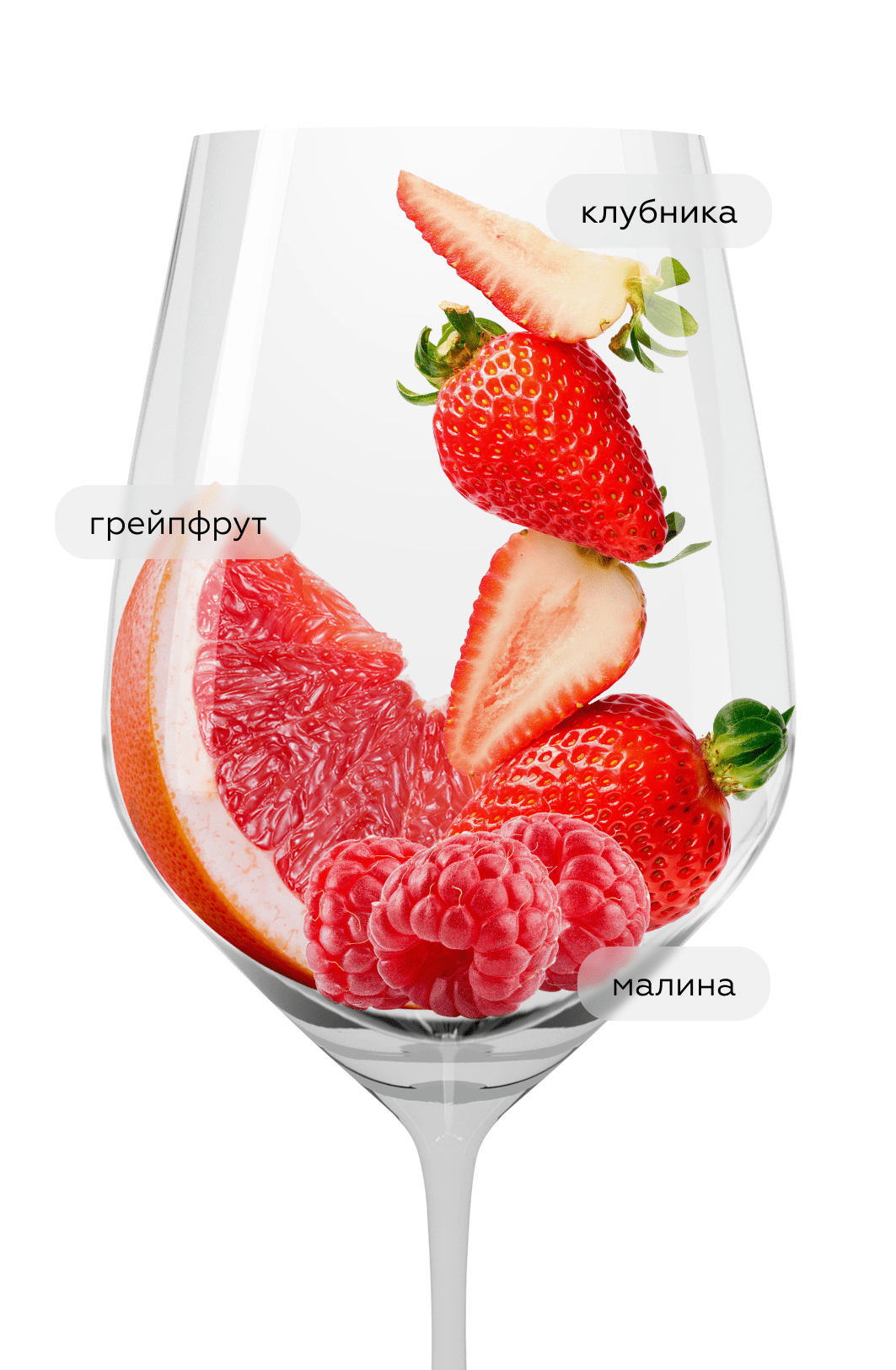 Шипучее вино Lambrusco di Sorbara Radice, Paltrinieri, 2022, (144672), Италия, Эмилия-Романья, красное, экстра брют, 0.75 л, Ламбруско ди Сорбара Радиче, цена 4990 рублей