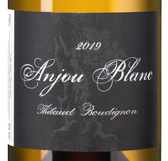 Вино Anjou Blanc, (127653), белое полусухое, 2019 г., 0.75 л, Анжу Блан цена 8990 рублей