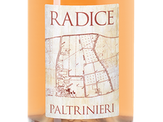 Итальянское игристое вино и шампанское Lambrusco di Sorbara Radice
