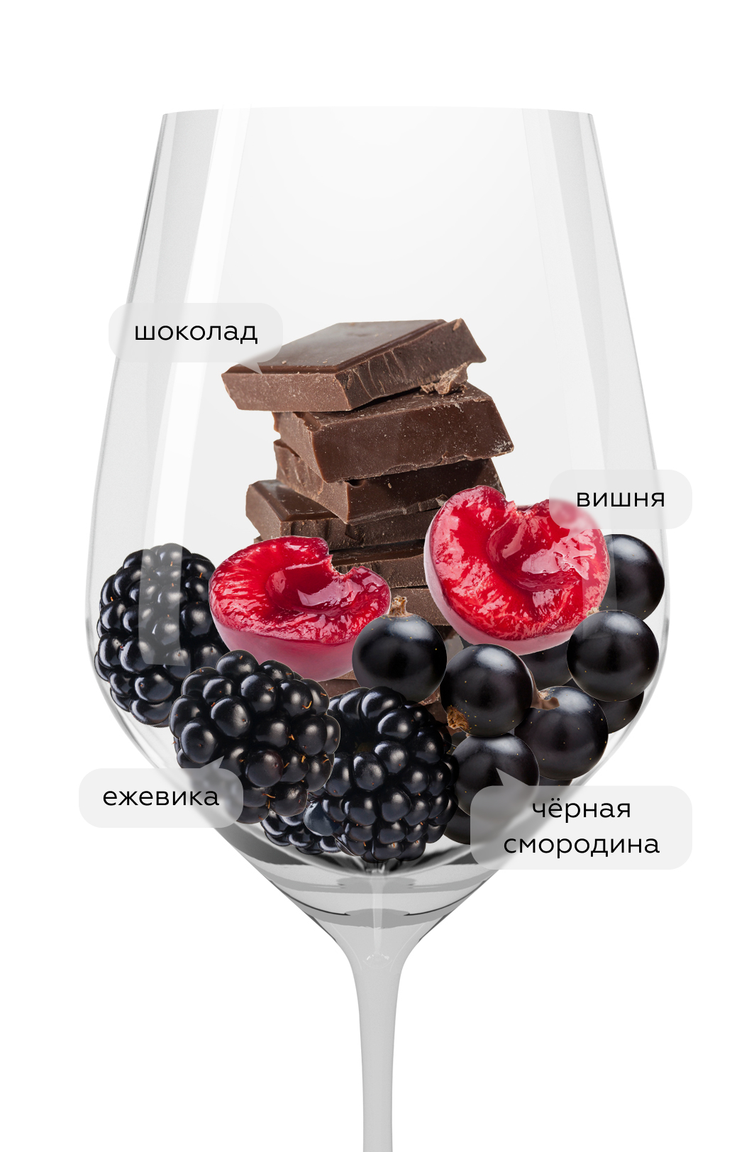 Вино Estelar Cabernet Sauvignon, Santa Carolina, 2022, (145936), Чили, Центральная Долина, красное, полусухое, 0.75 л, Эстелар Каберне Совиньон, цена 1043 рублей