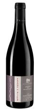Вино Franc de Pied (Saumur Champigny), (110326), красное сухое, 2016 г., 0.75 л, Фран де Пье цена 10490 рублей