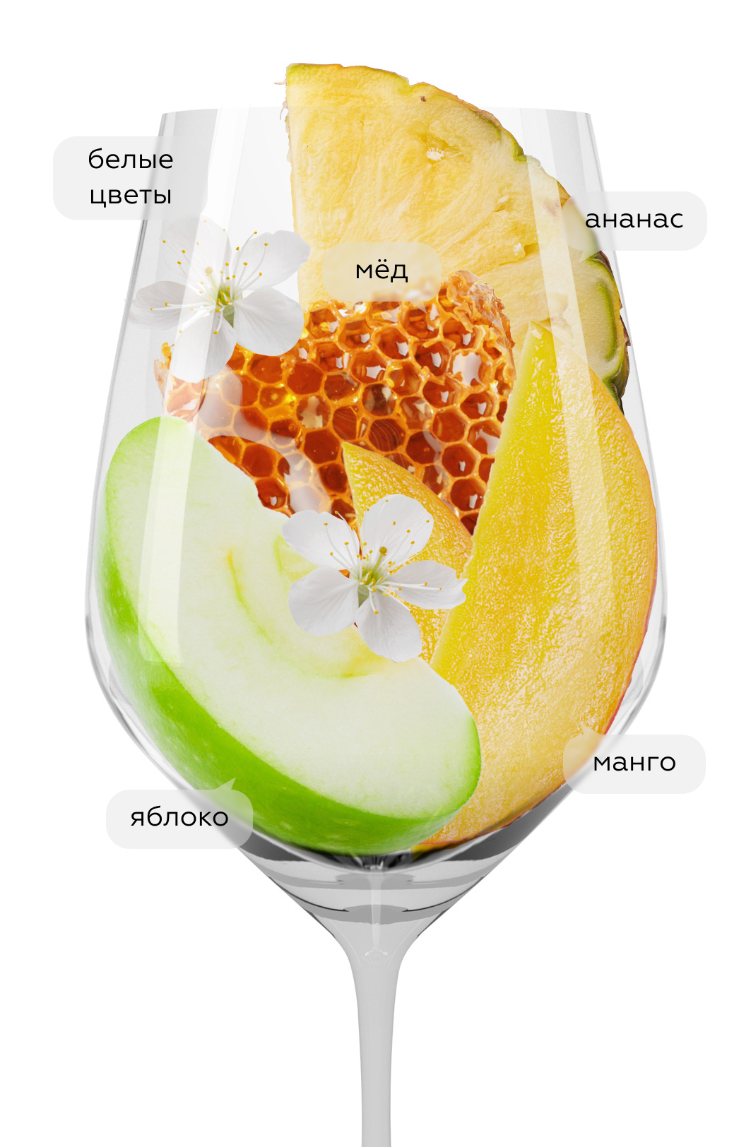 Вино Langhe Chardonnay Piodilei, Pio Cesare, 2018, (125508), Италия, Пьемонт, белое, сухое, 0.75 л, Ланге Шардоне Пиодилей, цена 12990 рублей