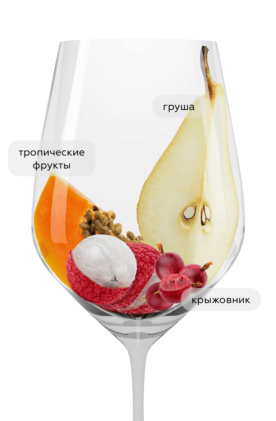 Вино Dragon Bay Sauvignon Blanc, Origin Wine Stellenbosch, 2025, (158844), Южная Африка, Стелленбош, белое, сухое, 0.75 л, Драгон Бэй Совиньон Блан, цена 1690 рублей