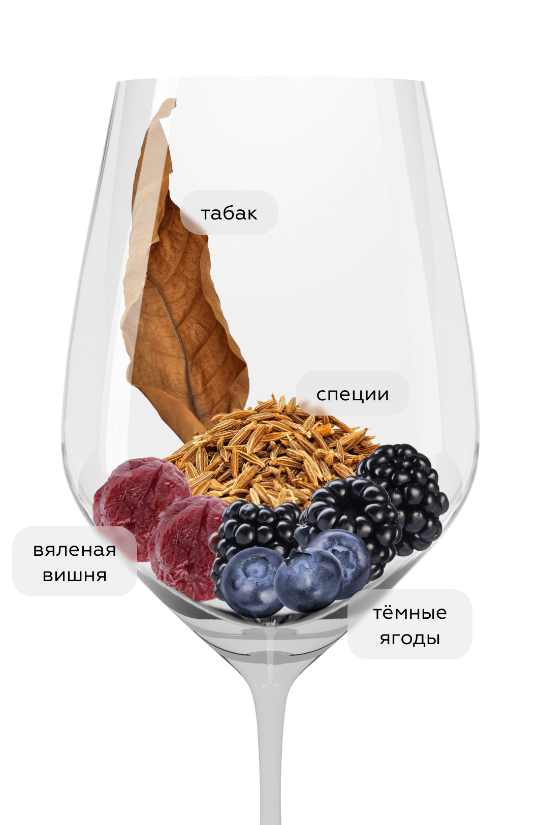 Вино Portezuelo Vineyard Carinena, Garage Wine, 2019, (141883), Чили, Южный регион, красное, сухое, 0.75 л, Портесуэло Виньярд Кариньена, цена 8490 рублей