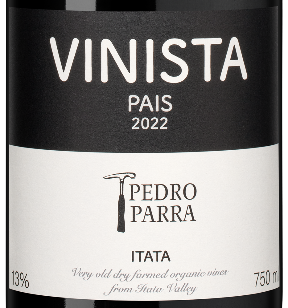 Вино Pais Vinista, Pedro Parra y Familia, 2022, (151065), Чили, Южный регион, красное, сухое, 0.75 л, Паис Виниста, цена 7990 рублей