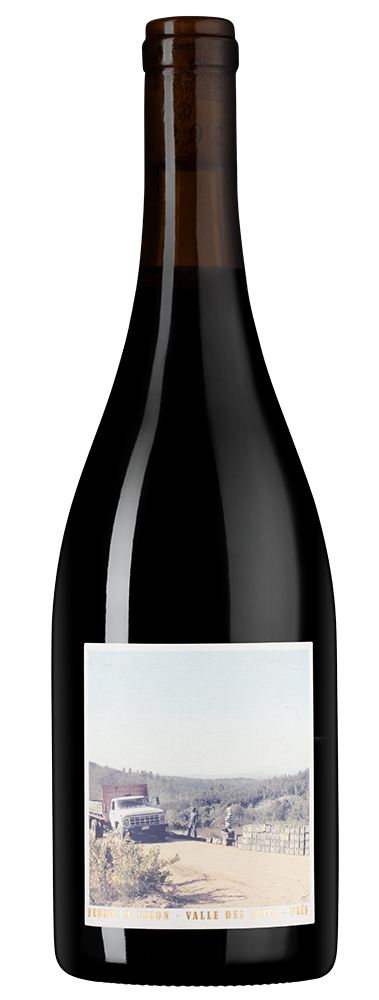 Вино Fundo la Union, Roberto Henriquez, 2020, (127275), Чили, Южный регион, красное, сухое, 0.75 л, Фундо ла Уньон, цена 8490 рублей