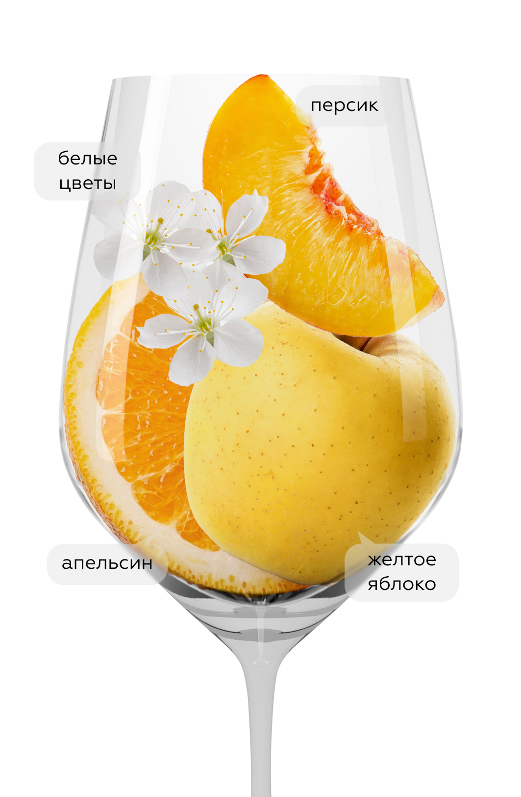 Вино Pfefferer Sun, Colterenzio, 2022, (143211), Италия, Трентино-Альто Адидже, белое, сухое, 0.75 л, Пфефферер Сан, цена 3190 рублей