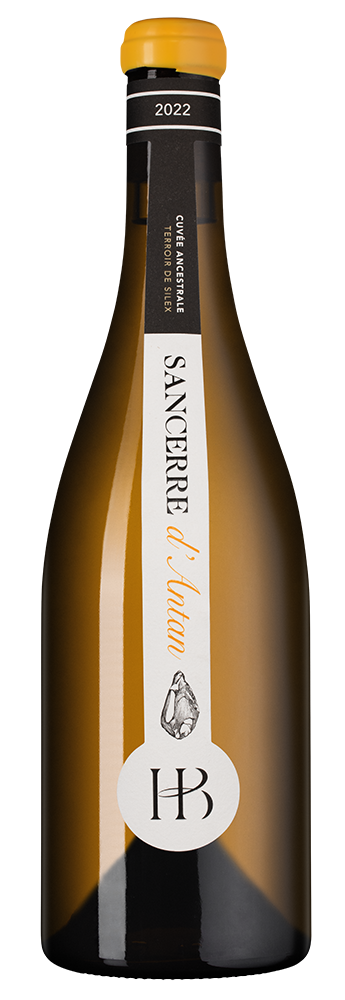 Вино Sancerre d'Antan, Henri Bourgeois, 2022, (151519), Франция, Долина Луары, белое, сухое, 0.75 л, Сансер Кюве Ансестраль Терруар де Силекс д'Антан, цена 10118 рублей