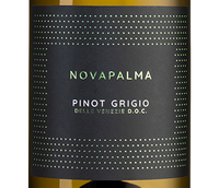 Полусухие итальянские вина Pinot Grigio