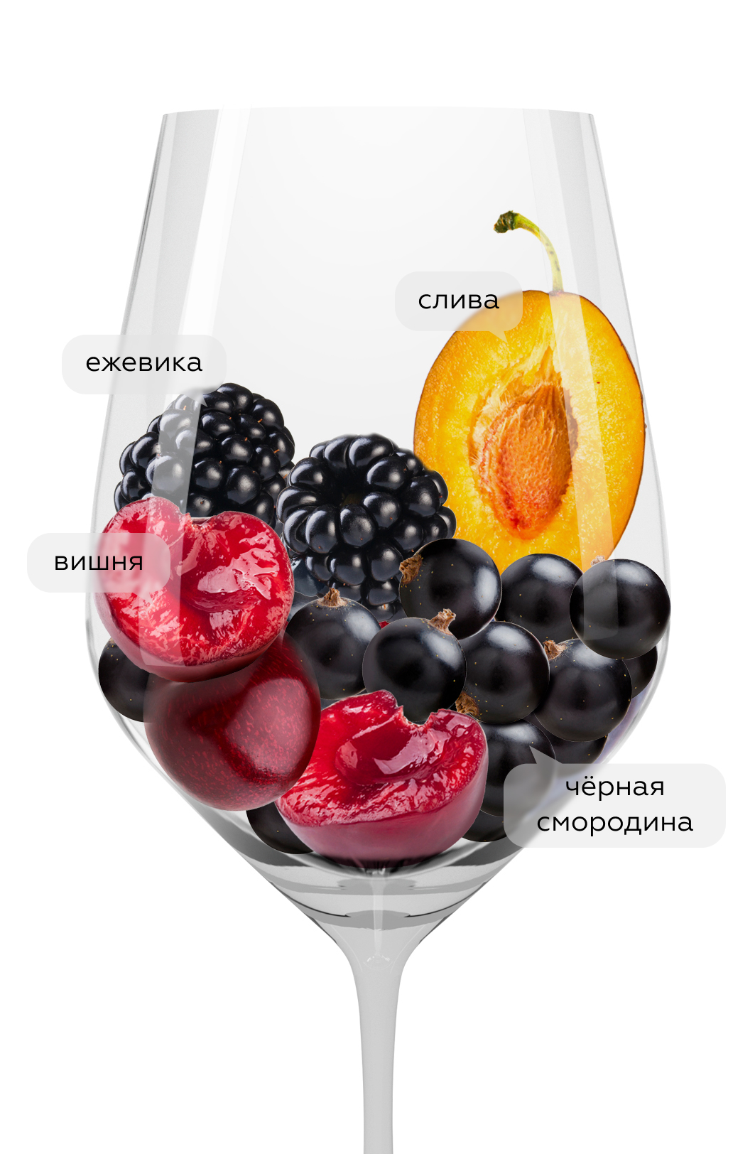 Вино Ginestet Bordeaux Rouge, Maison Ginestet, 2022, (146954), Франция, Бордо, красное, сухое, 0.75 л, Жинесте Бордо Руж, цена 2340 рублей