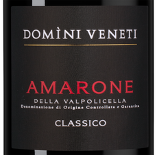 Вино Amarone della Valpolicella Classico в подарочной упаковке, (148766), gift box в подарочной упаковке, красное полусухое, 2021, 1.5 л, Амароне делла Вальполичелла Классико цена 21490 рублей