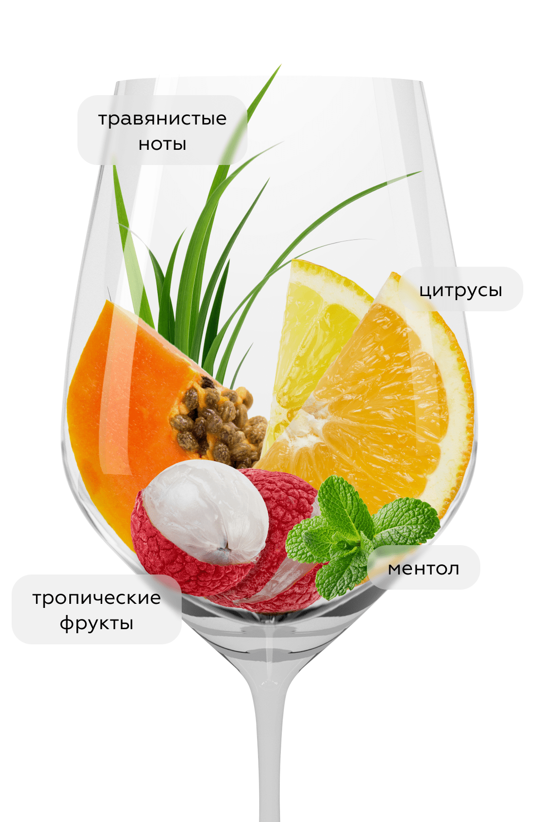 Вино Tollodouro, Bodegas Horacio Gomez Araujo, 2022, (143096), Испания, Галисия, белое, сухое, 0.75 л, Тольодоуро, цена 4490 рублей