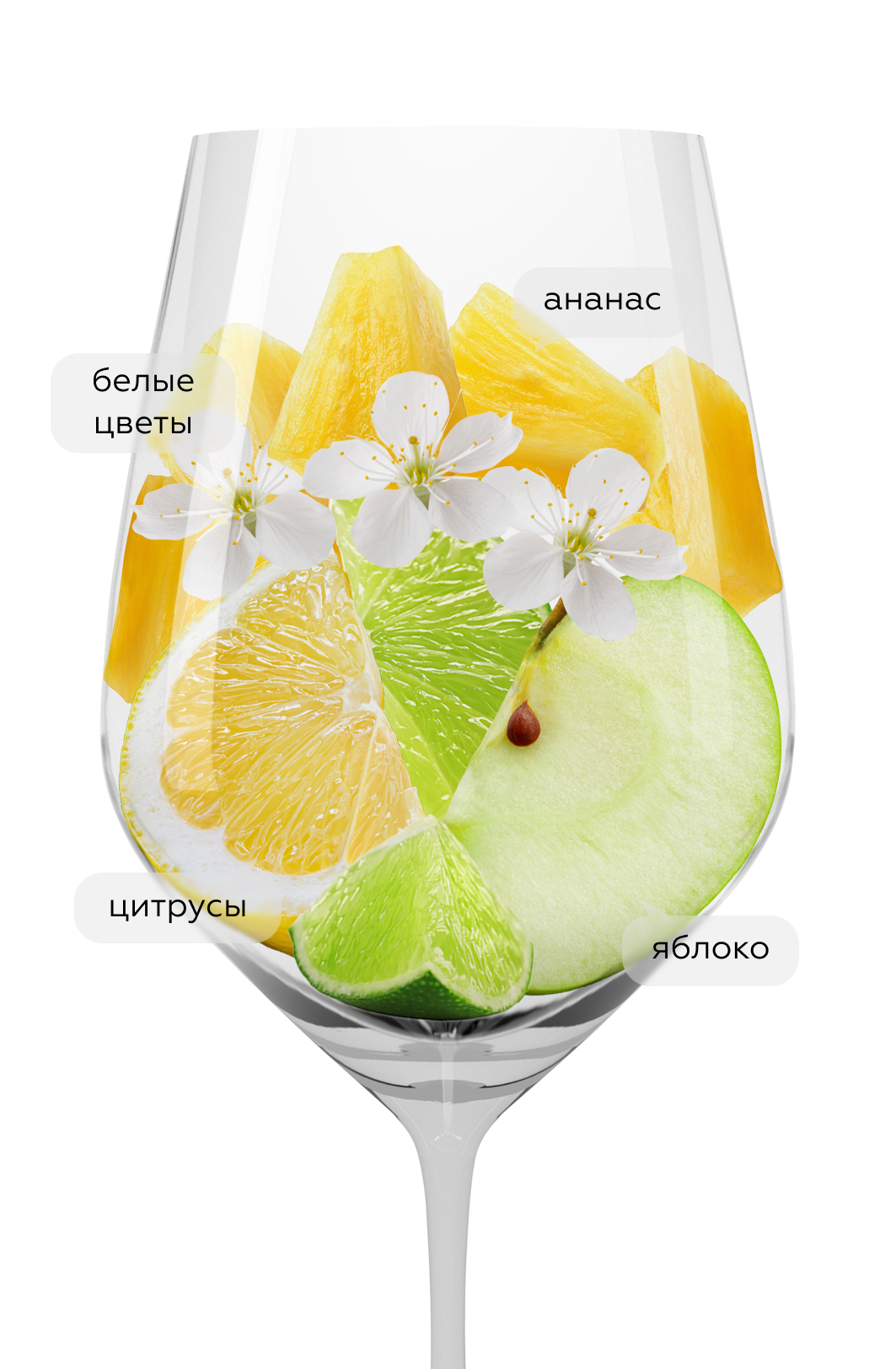 Вино Classic, Domaine Tariquet, 2024, (154973), Франция, Юго-Запад, белое, сухое, 0.75 л, Классик, цена 2243 рублей