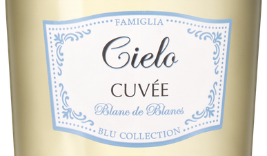 Игристое вино Cielo Blanc de Blancs, (149437), белое полусухое, 0.75 л, Чело Блан де Блан цена 1690 рублей