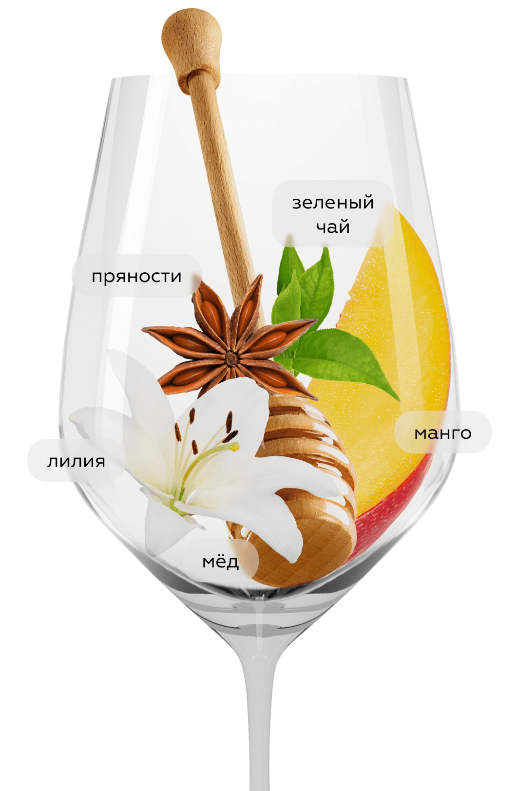 Вино Petrouchka, Галицкий и Галицкий, 2023, (155013), Россия, Кубань, белое, сухое, 0.75 л, Петрушка, цена 4490 рублей