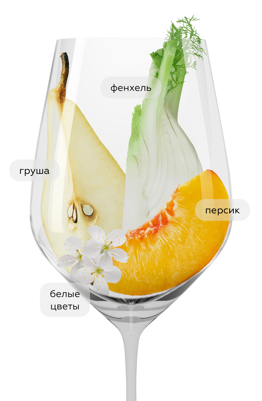 Вино Finca Montico Organic, Marques de Riscal, 2022, (144667), Испания, Кастилия и Леон, белое, сухое, 0.75 л, Руэда Вердехо Финка Монтико Органик, цена 4990 рублей