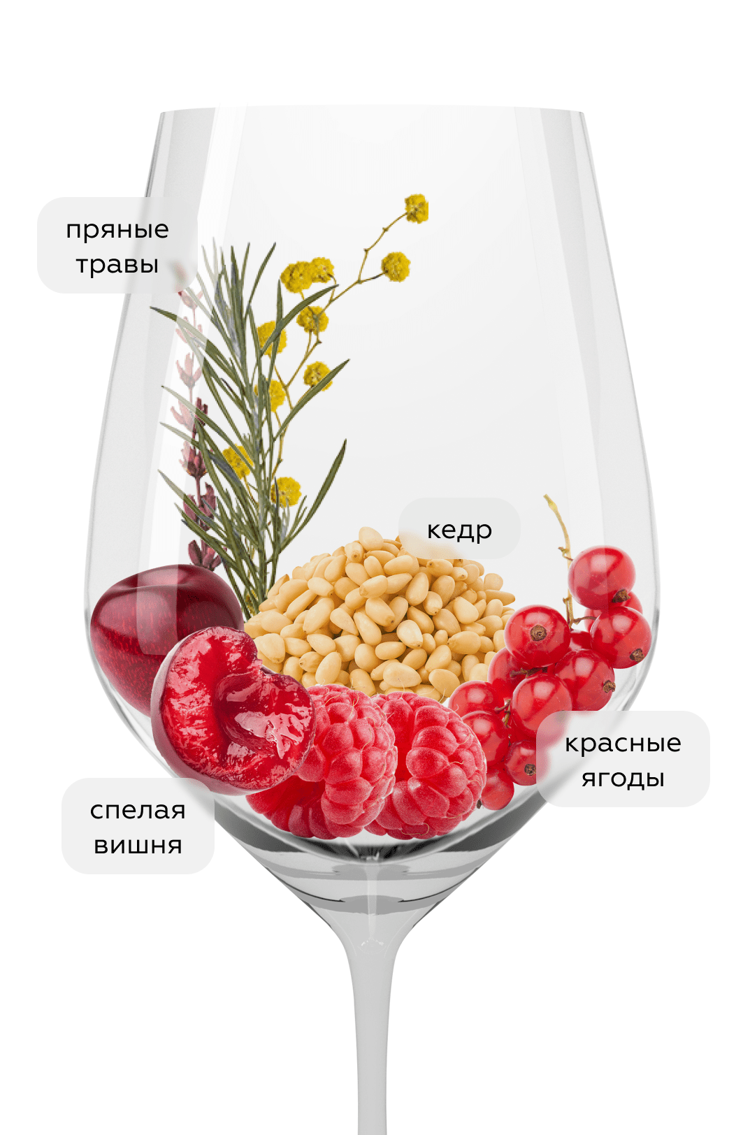 Вино La Bruja, Comando G, 2022, (151261), Испания, Мадрид, красное, сухое, 0.75 л, Ла Бруха, цена 8790 рублей