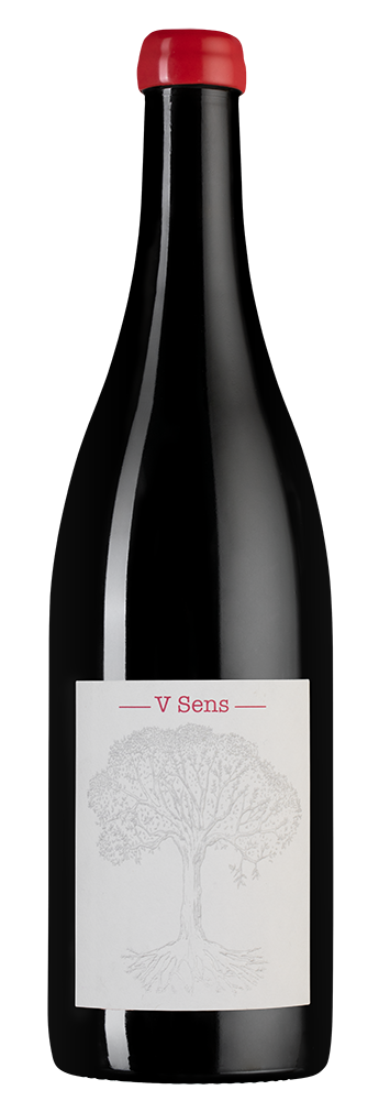 Вино V Sens, Domaine de Belle Vue, (126576), Франция, Долина Луары, красное, сухое, 0.75 л, Ви Санс, цена 7990 рублей