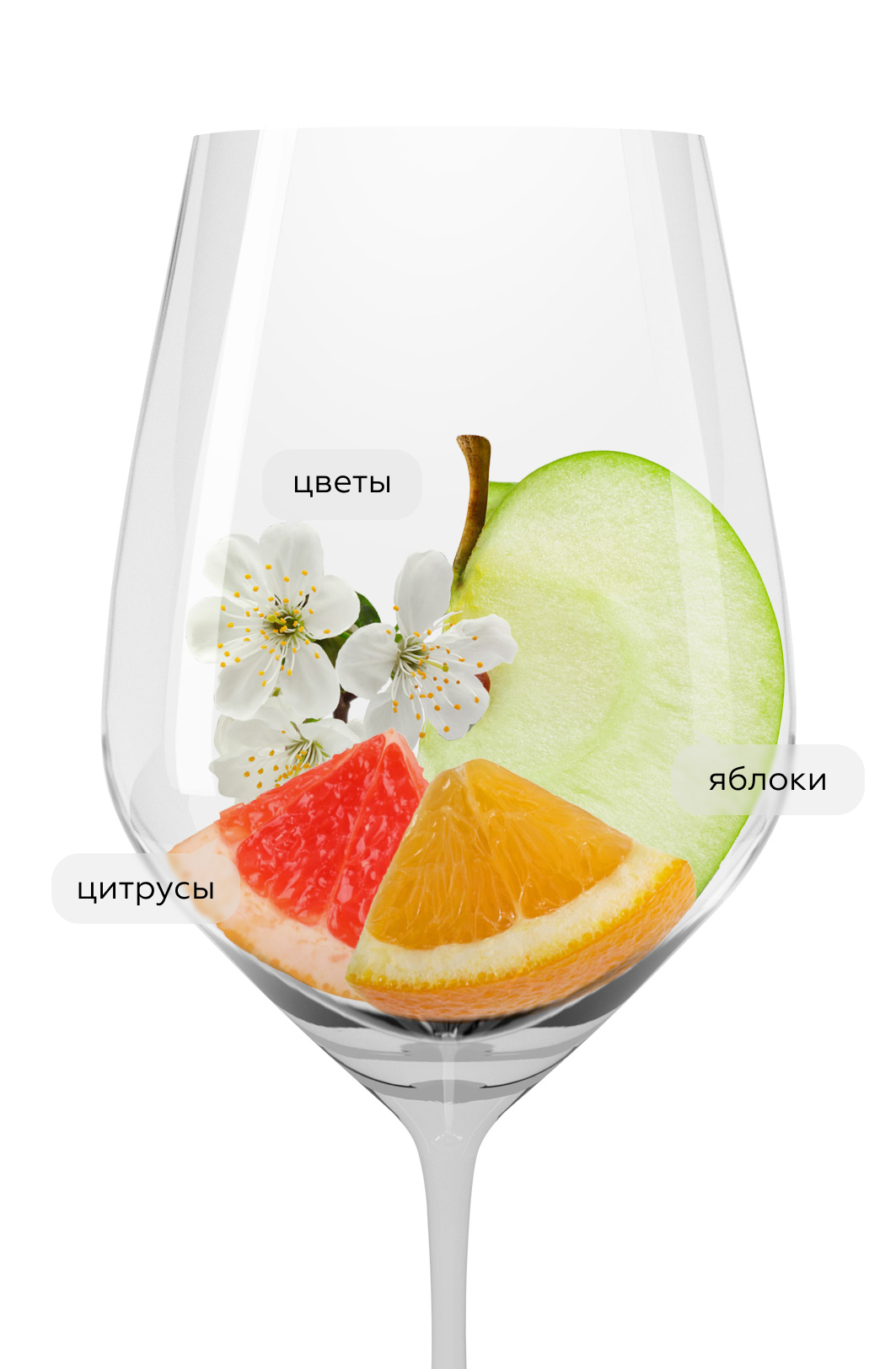 Игристое вино Prosecco, Casa Defra, 0.2л, (154873), Италия, Венето, белое, сухое, 0.2 л, Просекко, цена 890 рублей