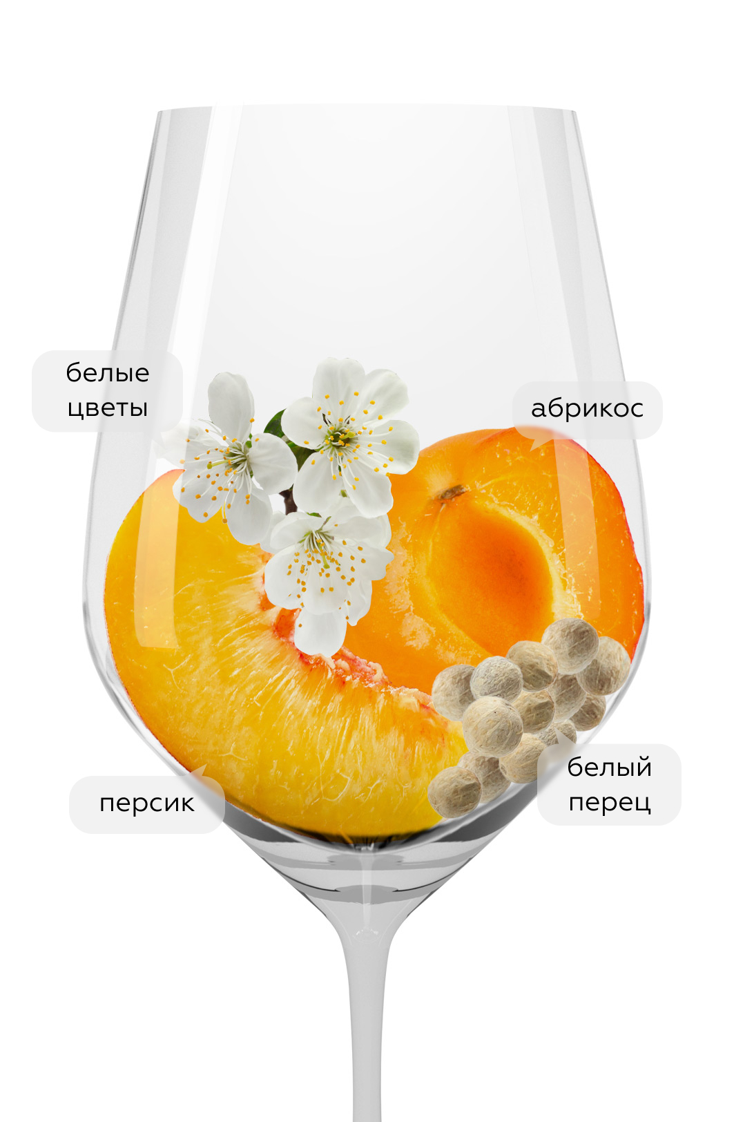 Вино Greco di Tufo, Feudi di San Gregorio, 2023, (149857), Италия, Кампания, белое, сухое, 0.75 л, Греко ди Туфо, цена 4490 рублей