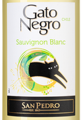 Вино с хрустящей кислотностью Gato Negro Sauvignon Blanc