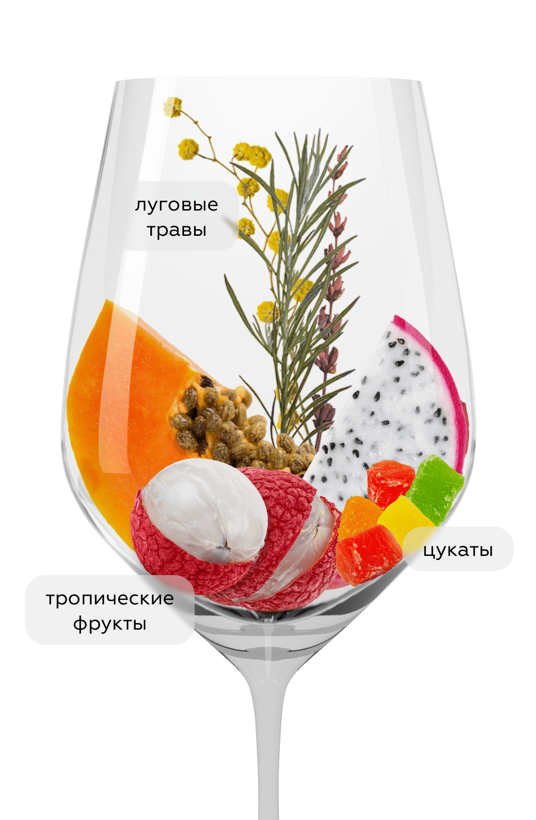 Вино Hans Baer Gewurztraminer, Weinkellerei Hechtsheim, 2022, (144173), Германия, Рейнгессен, белое, полусладкое, 0.75 л, Ханс Баер Гевюрцтраминер, цена 1294 рублей