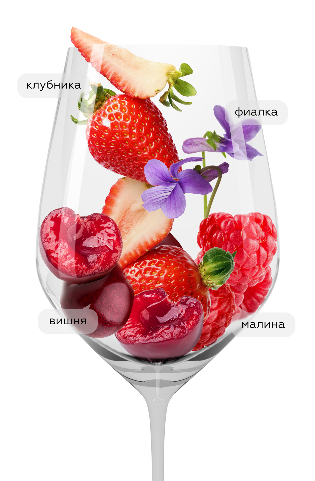 Вино Stilnovo Governo all'Uso Toscano, Banfi, 2022, (145471), Италия, Тоскана, красное, полусухое, 0.75 л, Стильново Говерно аль'Узо Тоскано, цена 3990 рублей