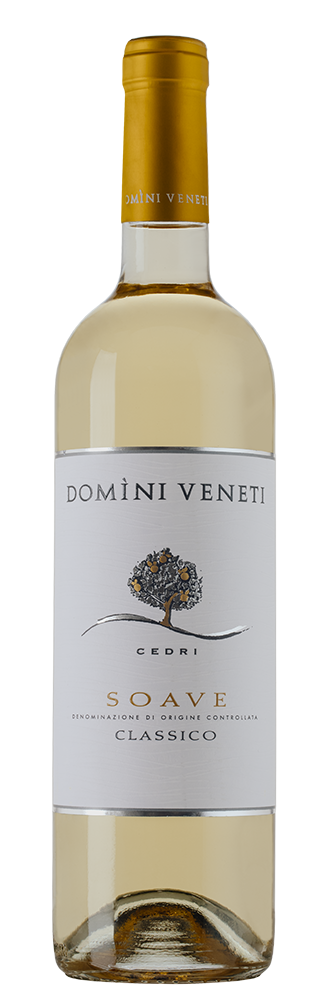 Вино Soave Classico, Domini Veneti, 2020, (127769), Италия, Венето, белое, полусухое, 0.75 л, Соаве Классико, цена 2990 рублей