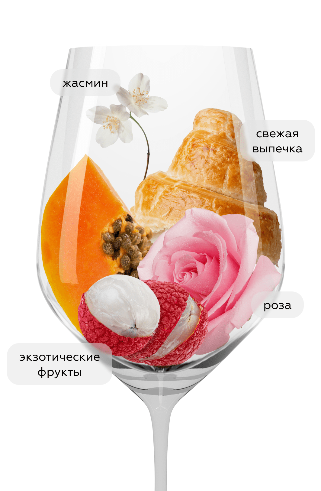 Вино Alsace Gewurztraminer Riquewihr, Domaine Trapet Pere et Fils, 2020, (140514), Франция, Эльзас, белое, полусухое, 0.75 л, Гевюрцтраминер Эльзас Риквир, цена 8790 рублей