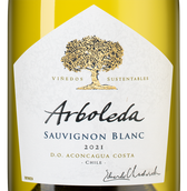Белое вино из Аконкагуа Sauvignon Blanc