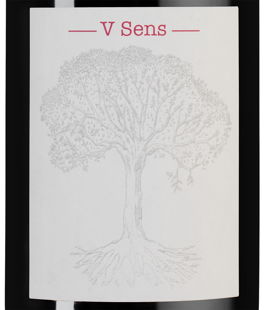 Вино V Sens, Domaine de Belle Vue, (126576), Франция, Долина Луары, красное, сухое, 0.75 л, Ви Санс, цена 7990 рублей