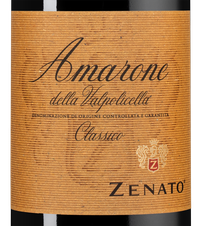 Вино Amarone della Valpolicella Classico, (150444), красное полусухое, 2019, 0.75 л, Амароне делла Вальполичелла Классико цена 14490 рублей