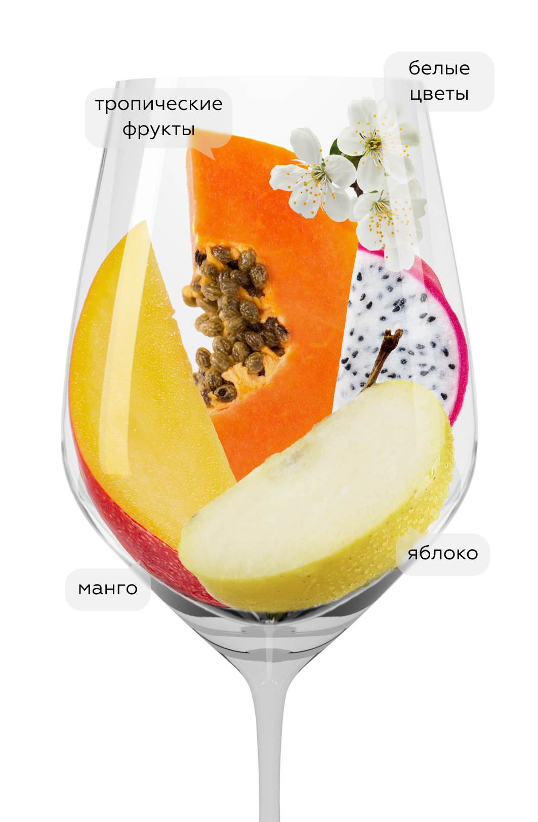 Вино Le Rime, Banfi, 2023, (147707), Италия, Тоскана, белое, сухое, 0.75 л, Ле Риме, цена 1790 рублей