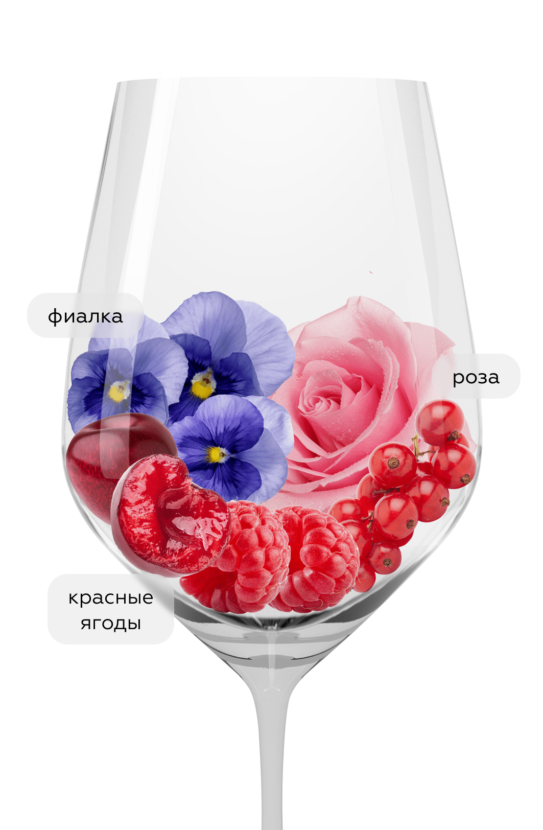 Вино Barolo Caviot, Ca`Viola, 2020, (153560), Италия, Пьемонт, красное, сухое, 0.75 л, Бароло Кавиот, цена 11490 рублей