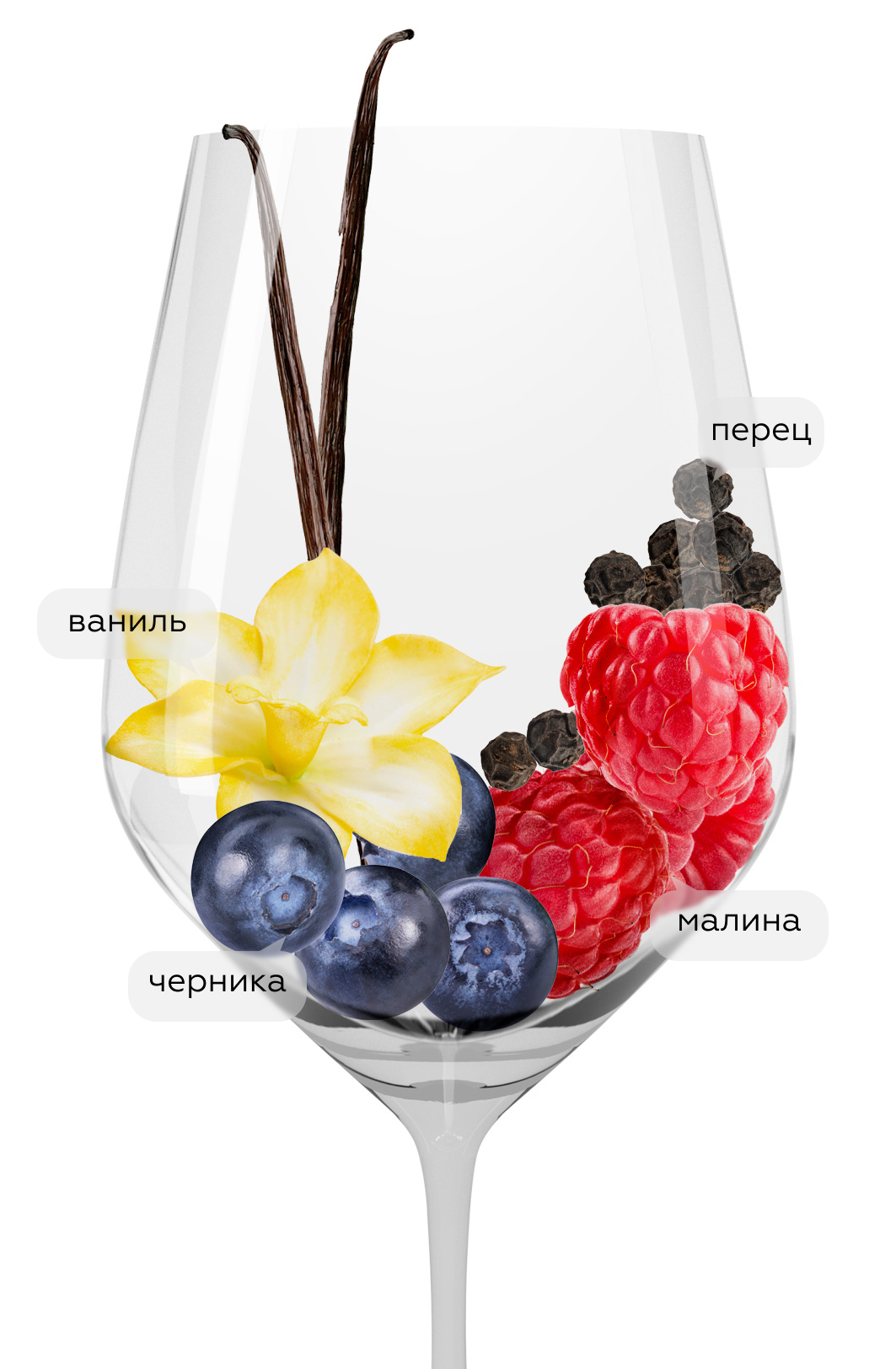 Вино Pinot Noir, Cielo, 2020, (130980), Италия, Венето, красное, полусухое, 0.75 л, Пино Нуар, цена 1690 рублей