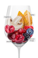Вино Bourgogne Pinot Noir La Vignee, (133262), красное сухое, 2020 г., 0.75 л, Бургонь Пино Нуар Ла Винье цена 5490 рублей