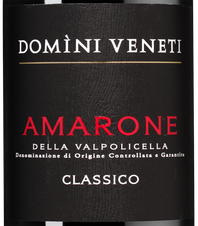 Вино Amarone della Valpolicella Classico, (139037), красное полусухое, 2019 г., 0.75 л, Амароне делла Вальполичелла Классико цена 7490 рублей