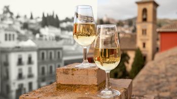 Херес всемогущий: гид по крепленому вину из Испании